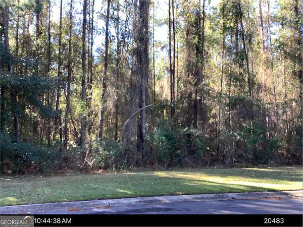 0.8 Acres of Residential Land for Sale in Woodbine, Georgia