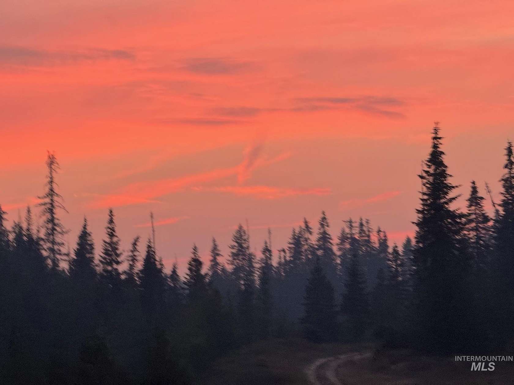 79.8 Acres of Recreational Land for Sale in Weippe, Idaho