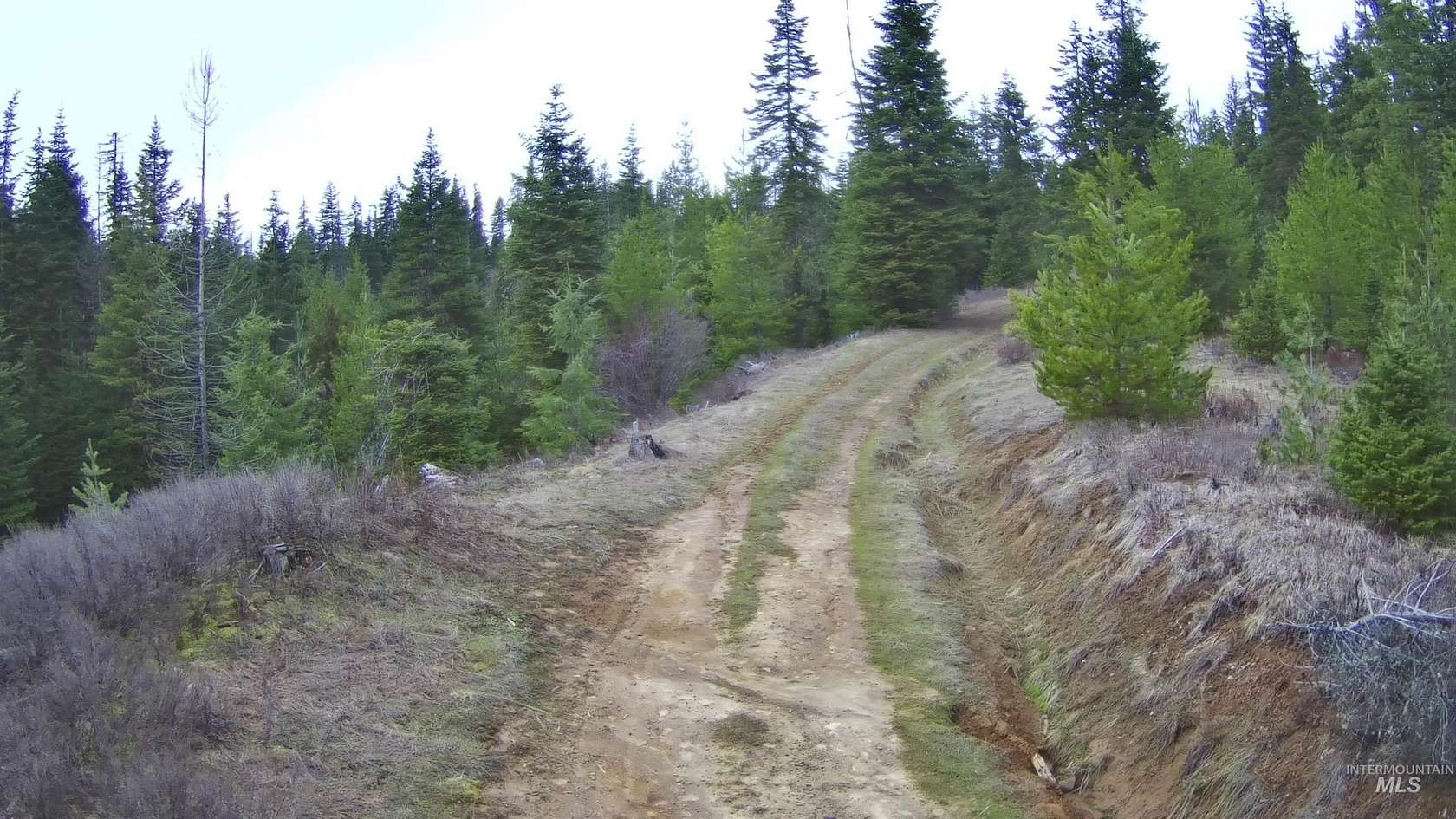 79.8 Acres of Recreational Land for Sale in Weippe, Idaho