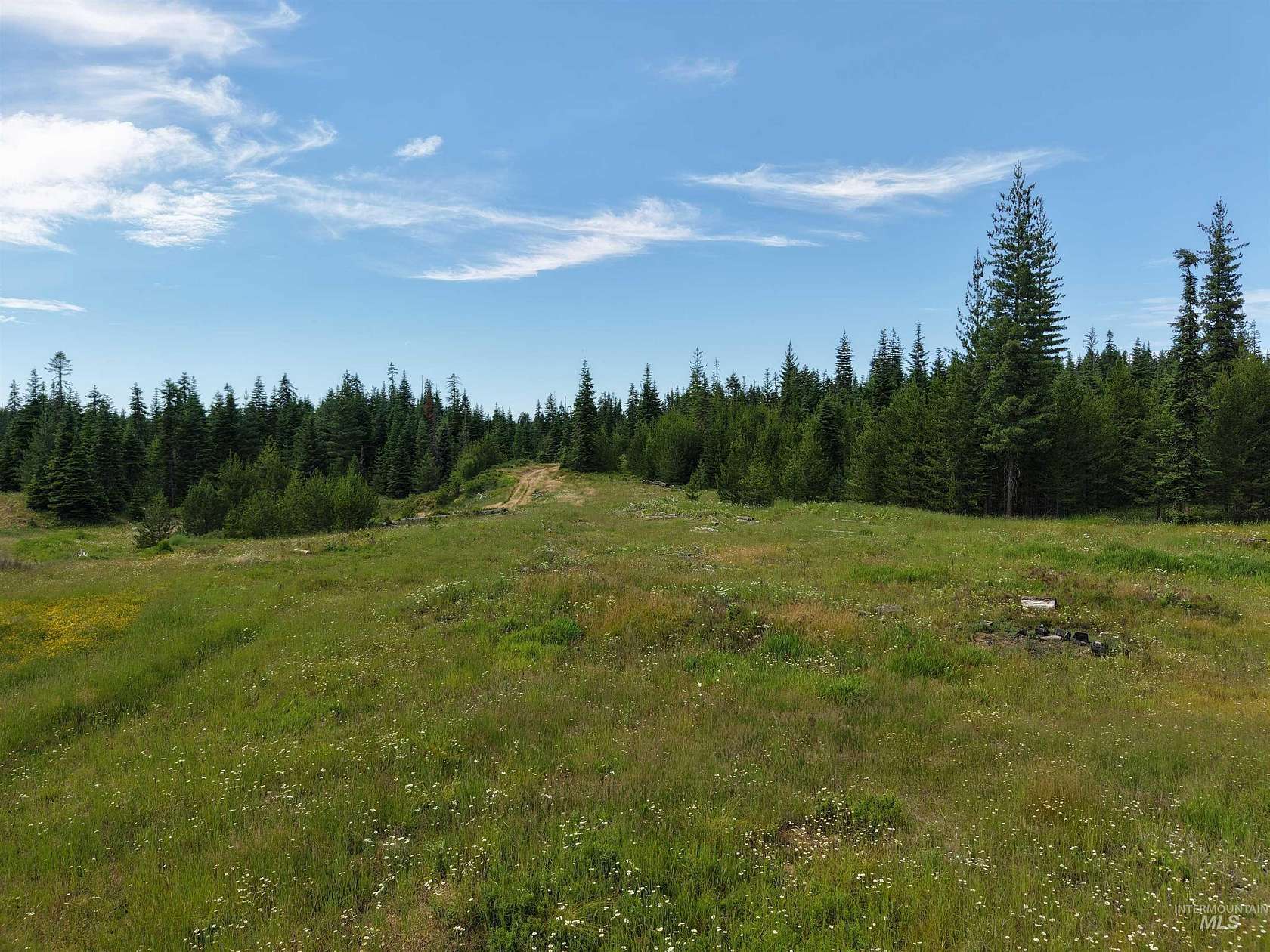 79.8 Acres of Recreational Land for Sale in Weippe, Idaho