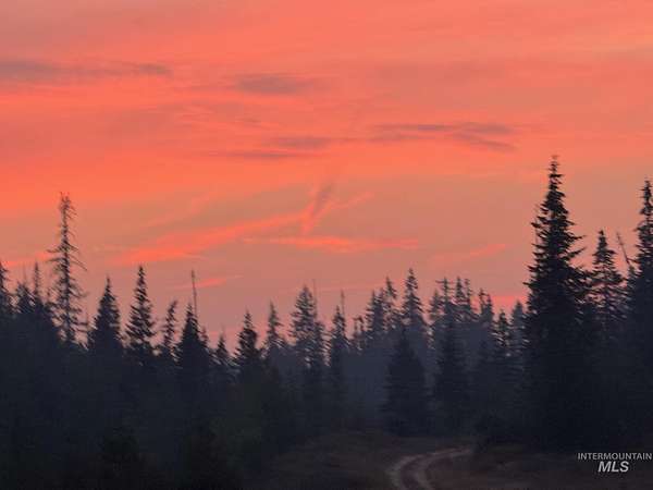 79.8 Acres of Recreational Land for Sale in Weippe, Idaho