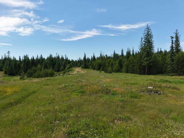 79.8 Acres of Recreational Land for Sale in Weippe, Idaho