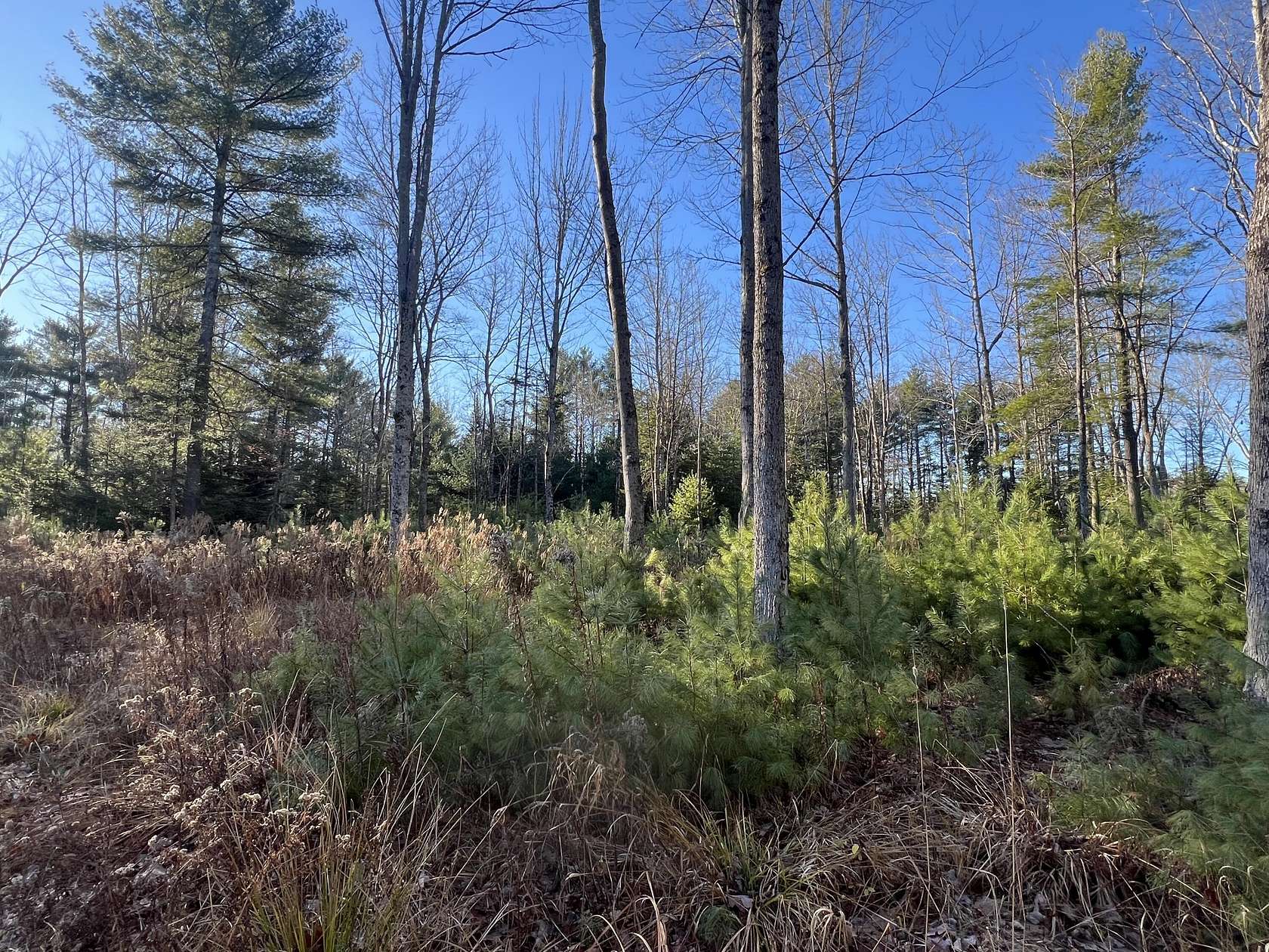 1.5 Acres of Residential Land for Sale in Bowdoinham, Maine