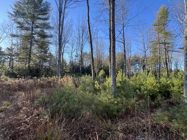 1.5 Acres of Residential Land for Sale in Bowdoinham, Maine