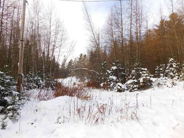 11 Acres of Land for Sale in Colebrook, New Hampshire