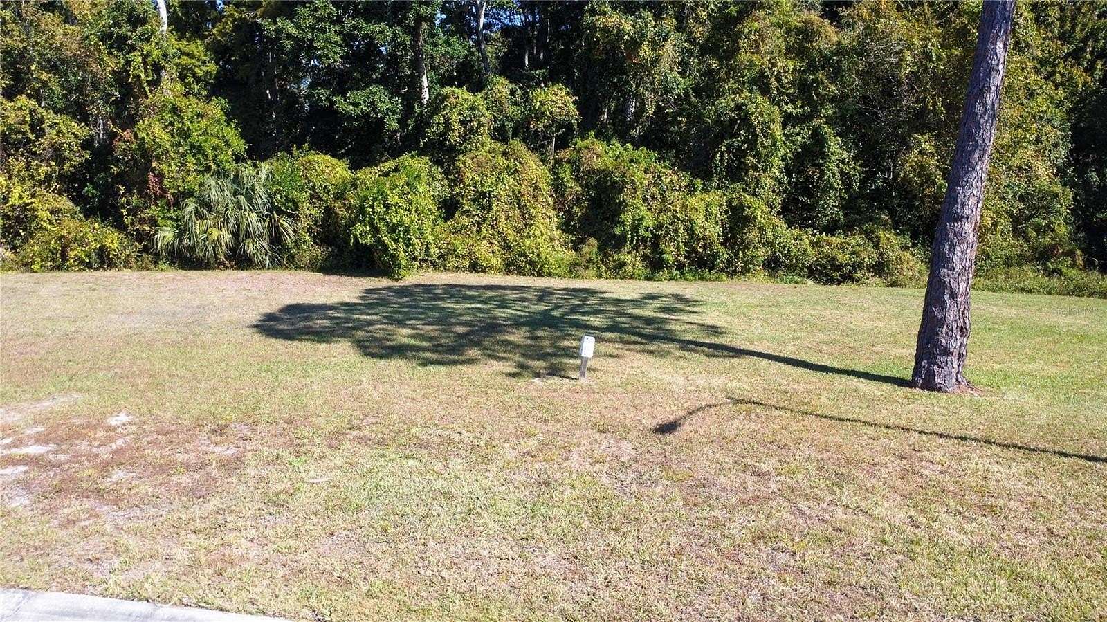 0.35 Acres of Residential Land for Sale in Spring Hill, Florida