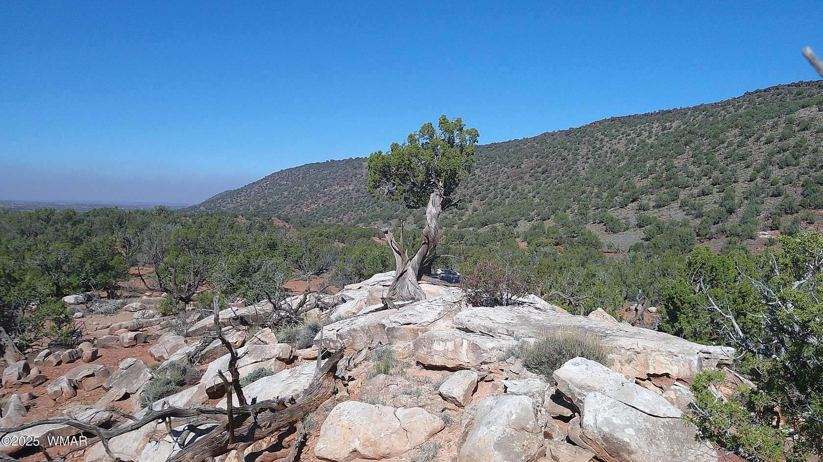 37.8 Acres of Land for Sale in Snowflake, Arizona