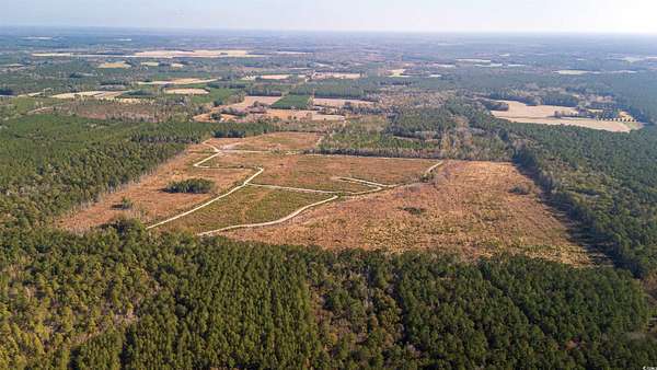 178 Acres of Recreational Land & Farm for Sale in Greeleyville, South Carolina