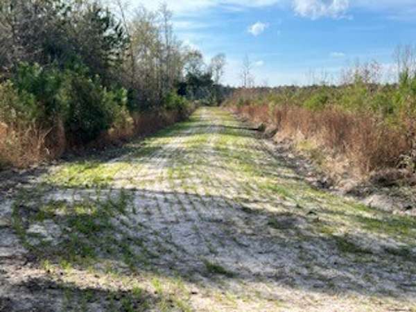 178 Acres of Recreational Land & Farm for Sale in Greeleyville, South Carolina