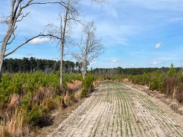 178 Acres of Land for Sale in Greeleyville, South Carolina