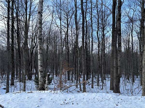108 Acres of Recreational Land for Sale in Schenevus, New York