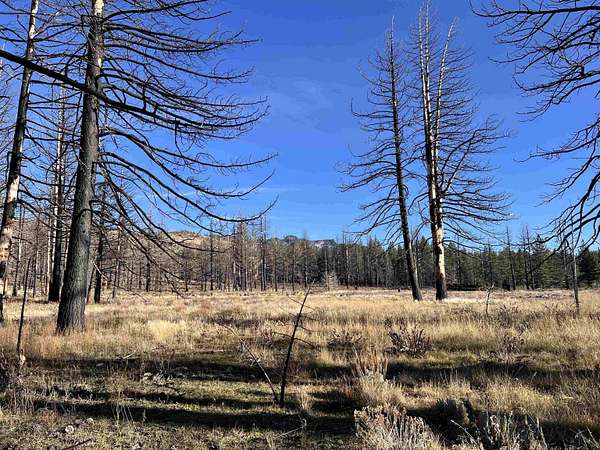 4.1 Acres of Land for Sale in Chilcoot, California