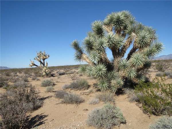 60 Acres of Agricultural & Residential Land for Sale in Yucca, Arizona