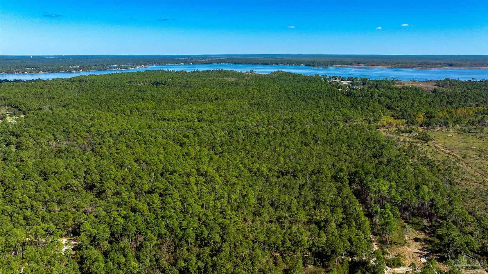 25 Acres of Recreational Land for Sale in Milton, Florida