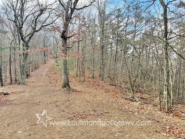 86.9 Acres of Recreational Land for Auction in White Sulphur Springs, West Virginia