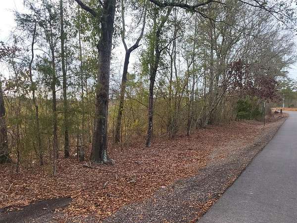 49.9 Acres of Recreational Land for Sale in Greenwood, Louisiana