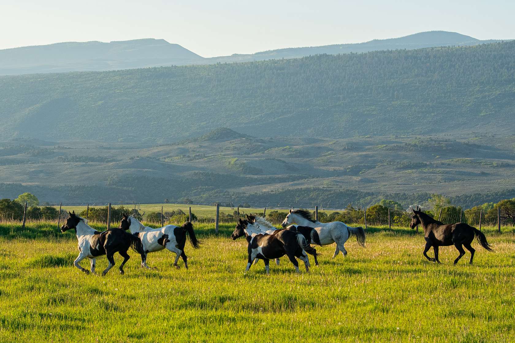 744 Acres of Land with Home for Sale in Burns, Colorado