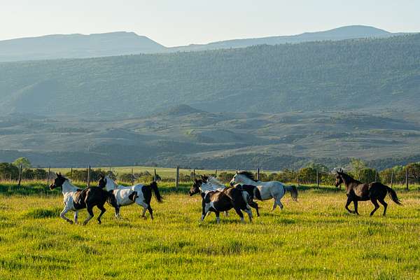 744 Acres of Land with Home for Sale in Burns, Colorado