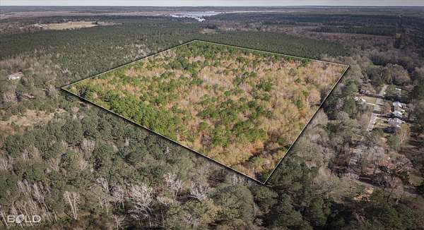 29.3 Acres of Recreational & Residential Land for Sale in Vivian, Louisiana