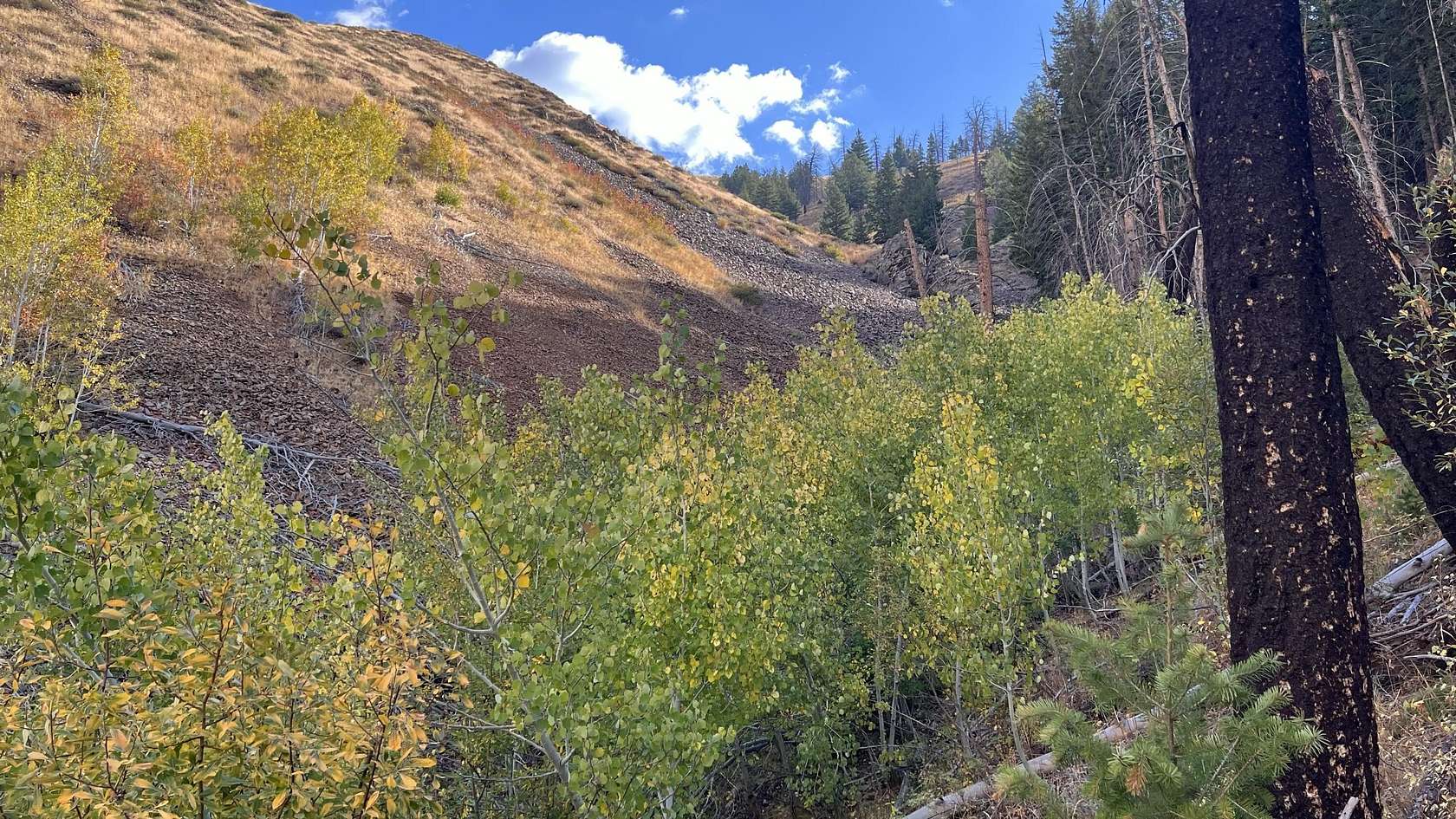 20.7 Acres of Recreational Land for Sale in Ketchum, Idaho