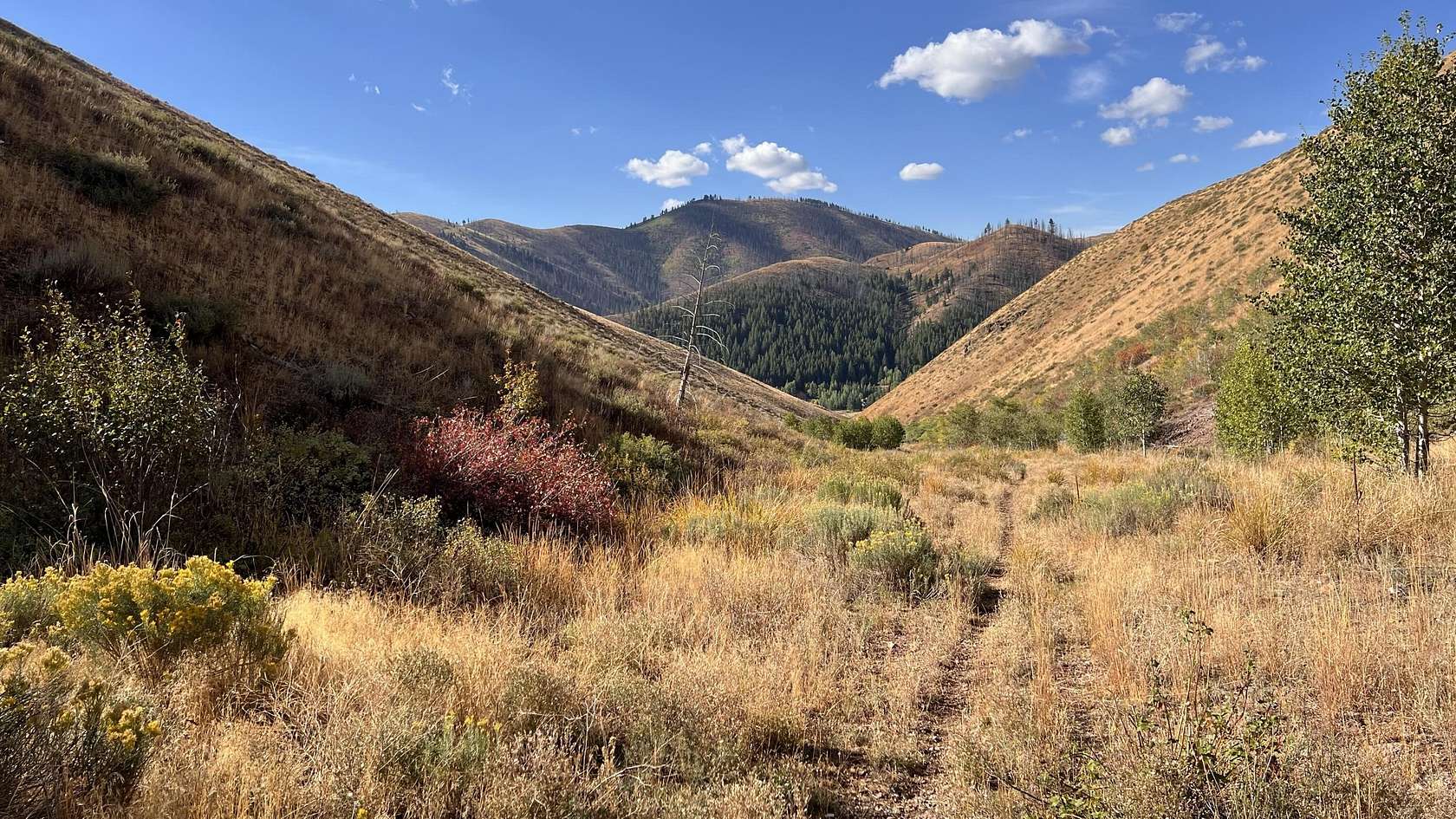 20.7 Acres of Recreational Land for Sale in Ketchum, Idaho