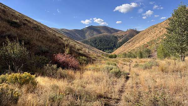 20.7 Acres of Recreational Land for Sale in Ketchum, Idaho