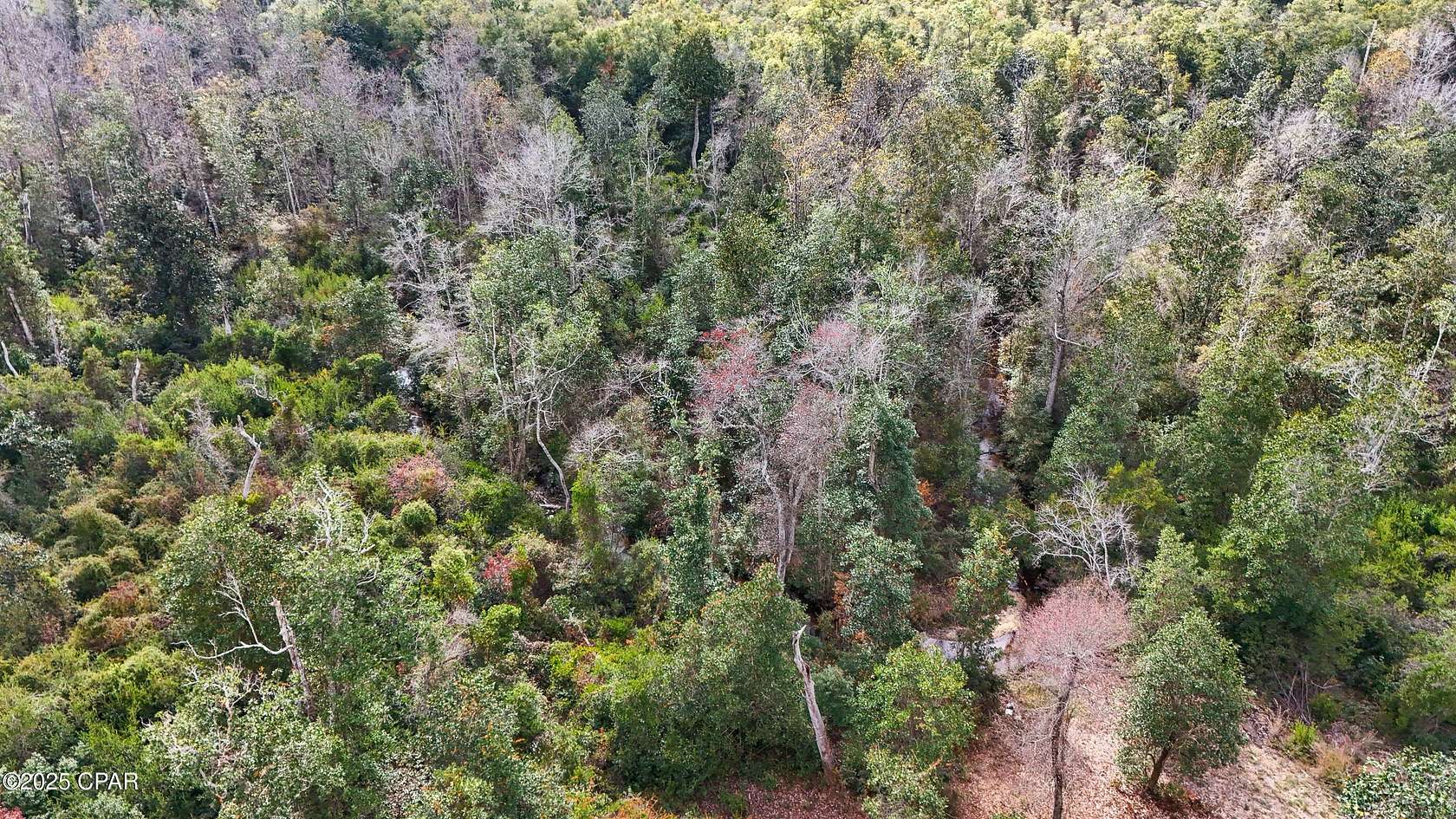 20 Acres of Recreational Land & Farm for Sale in Fountain, Florida