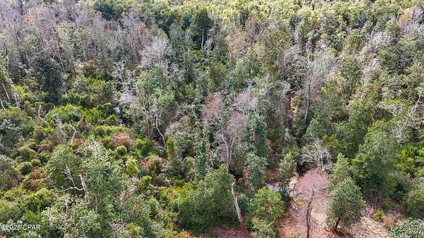 20 Acres of Recreational Land & Farm for Sale in Fountain, Florida