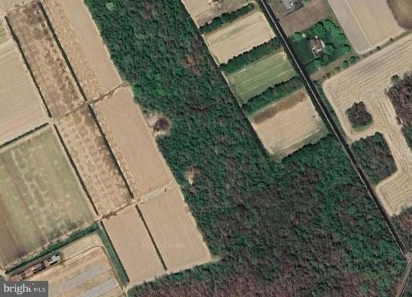 43 Acres of Recreational Land for Sale in Buena, New Jersey