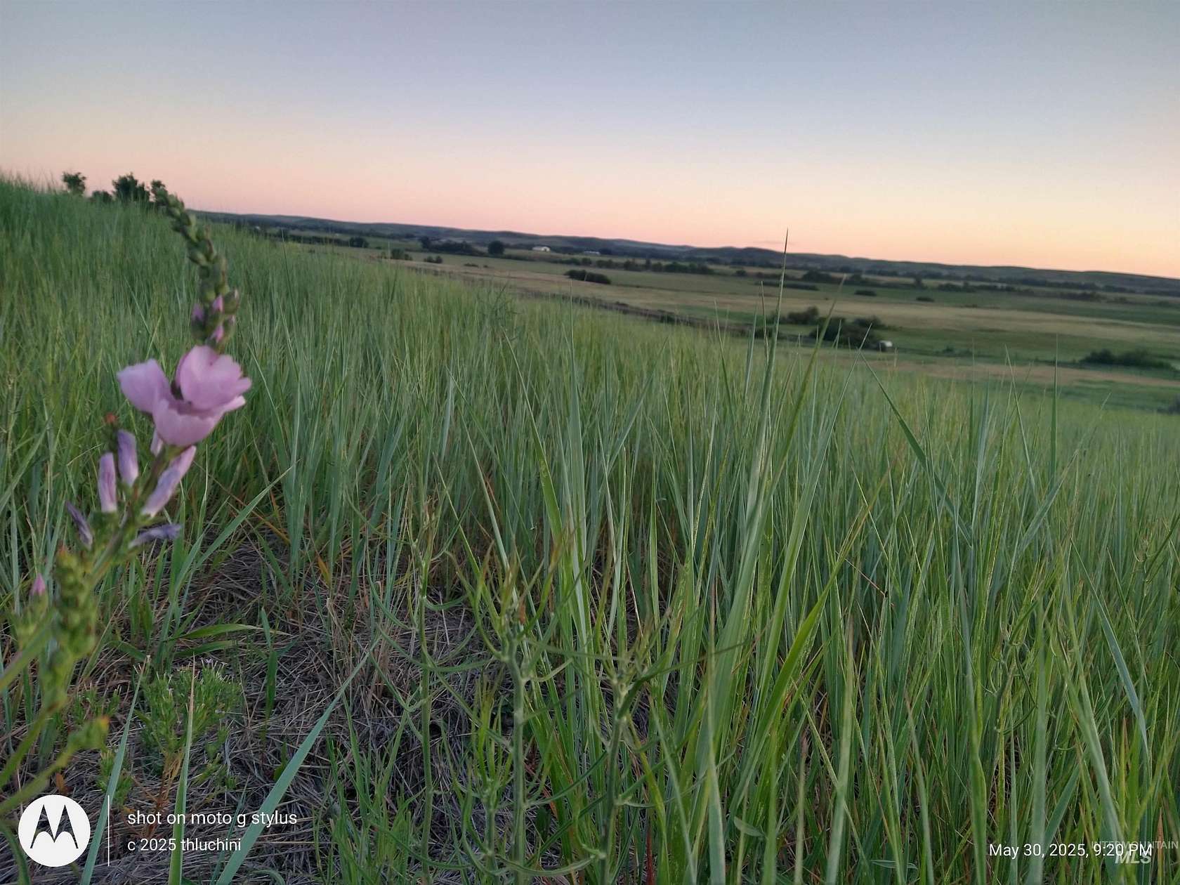 41.5 Acres of Agricultural & Residential Land for Sale in Indian Valley, Idaho