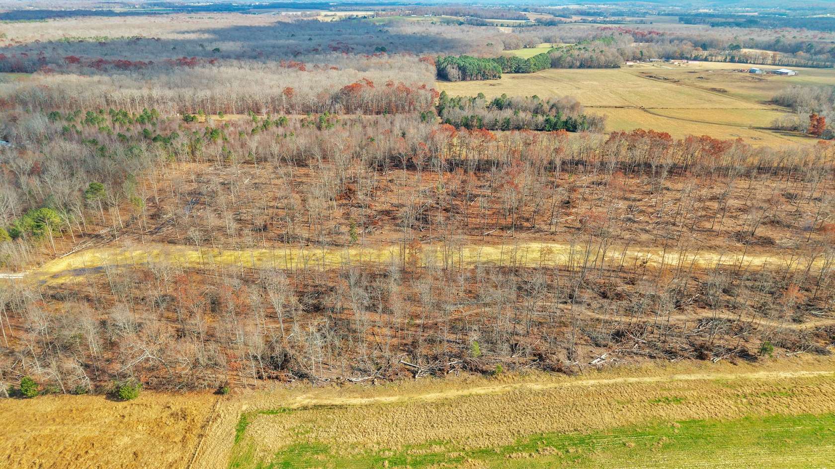 10 Acres of Land for Sale in Belvidere, Tennessee