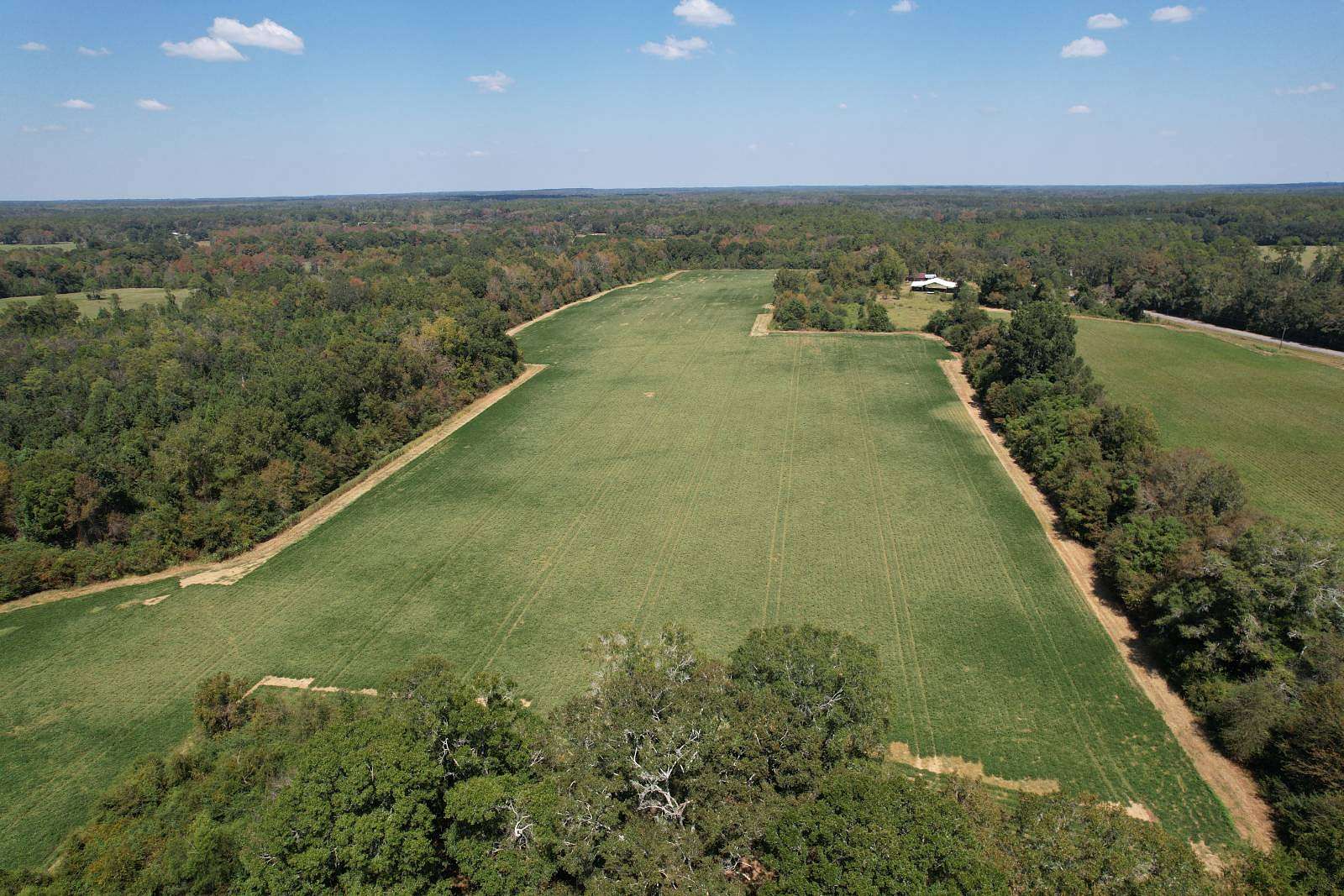 142 Acres of Land for Sale in Graceville, Florida