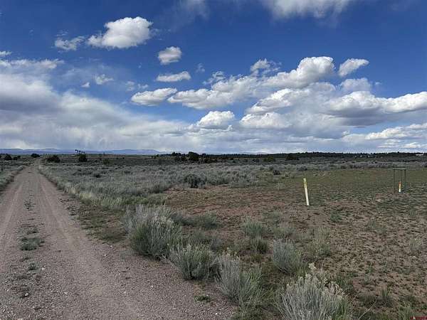 40 Acres of Land for Sale in Ignacio, Colorado