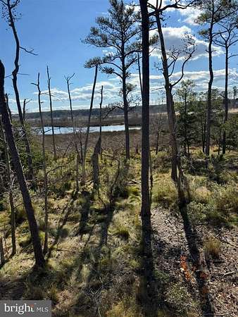 85 Acres of Land for Sale in Taylors Island, Maryland