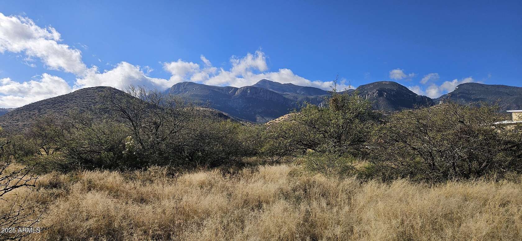 0.83 Acres of Residential Land for Sale in Hereford, Arizona