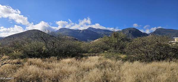 0.83 Acres of Residential Land for Sale in Hereford, Arizona