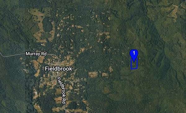 20.5 Acres of Land for Sale in Fieldbrook, California