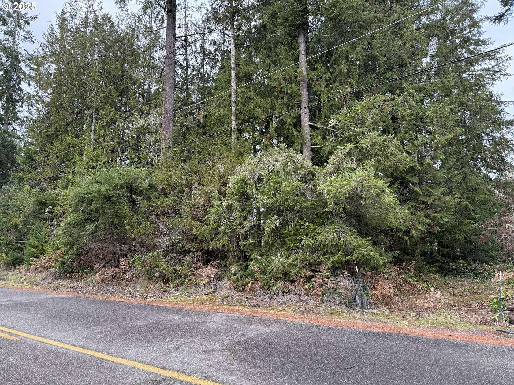 0.6 Acres of Residential Land for Sale in Castle Rock, Washington
