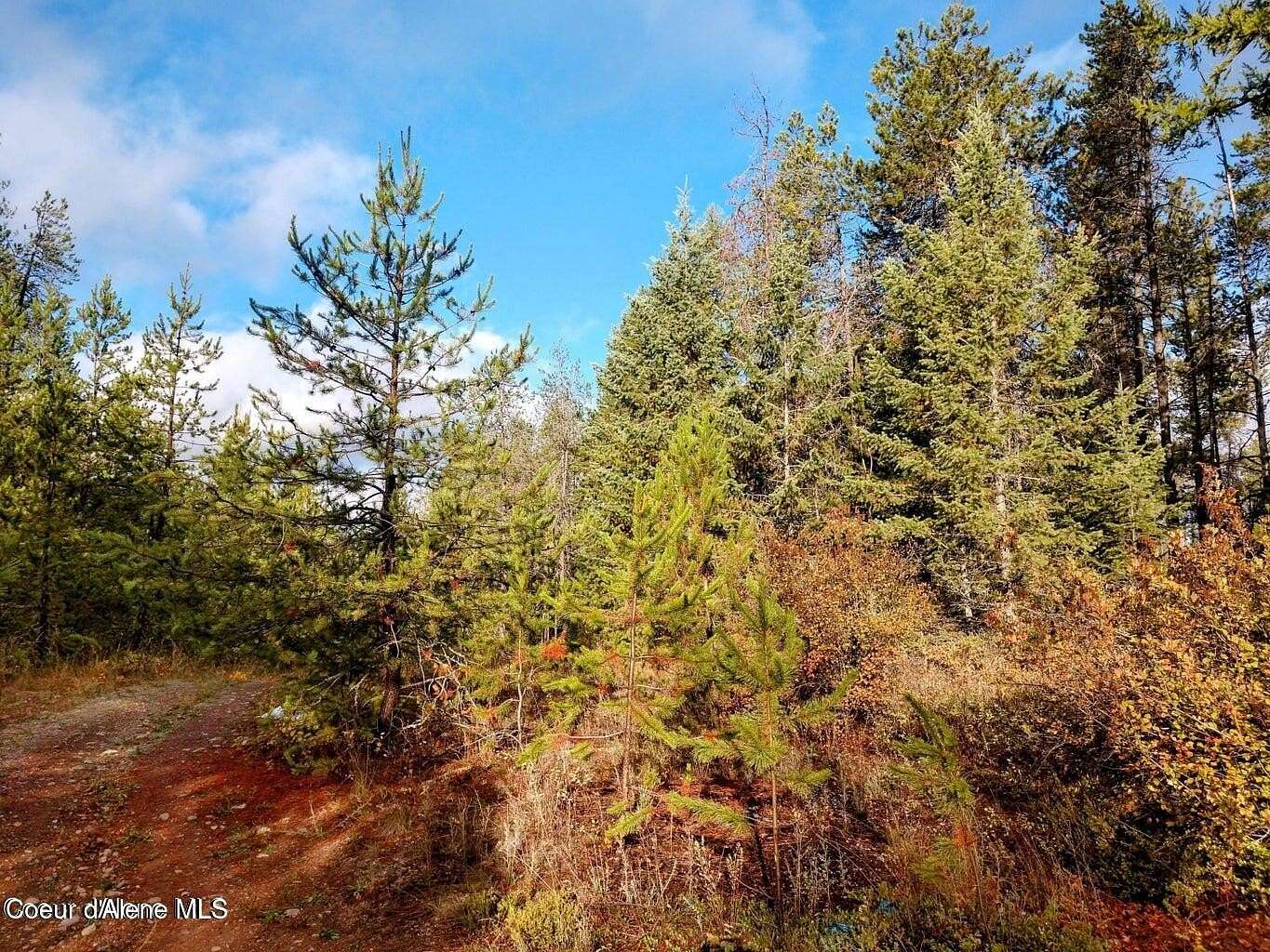 1 Acre of Residential Land for Sale in Post Falls, Idaho