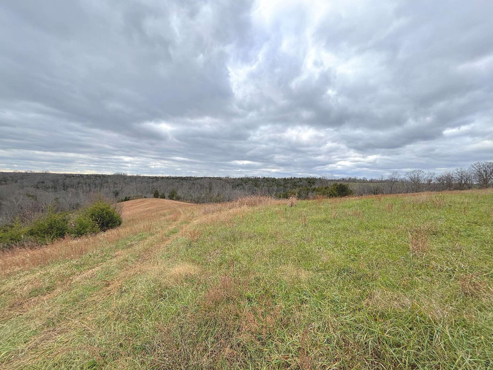 20 Acres of Recreational Land for Sale in DeMossville, Kentucky