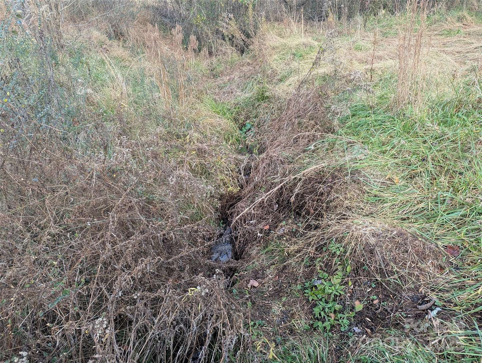 1.1 Acres of Residential Land for Sale in Leicester, North Carolina