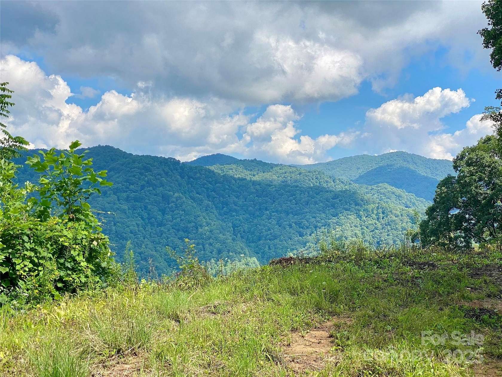 289 Acres of Recreational Land for Sale in Marshall, North Carolina