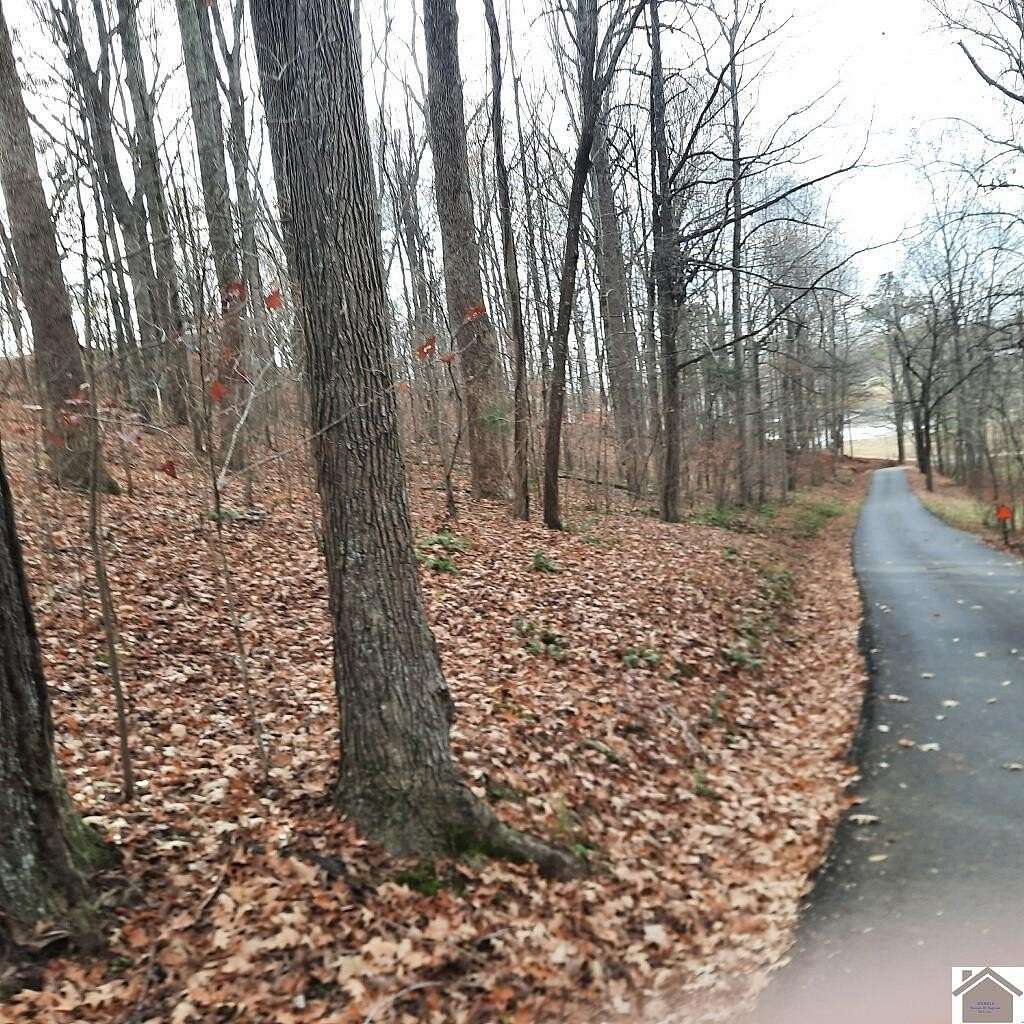 0.38 Acres of Land for Sale in Eddyville, Kentucky