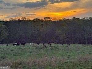 4.5 Acres of Residential Land for Sale in Cumming, Georgia