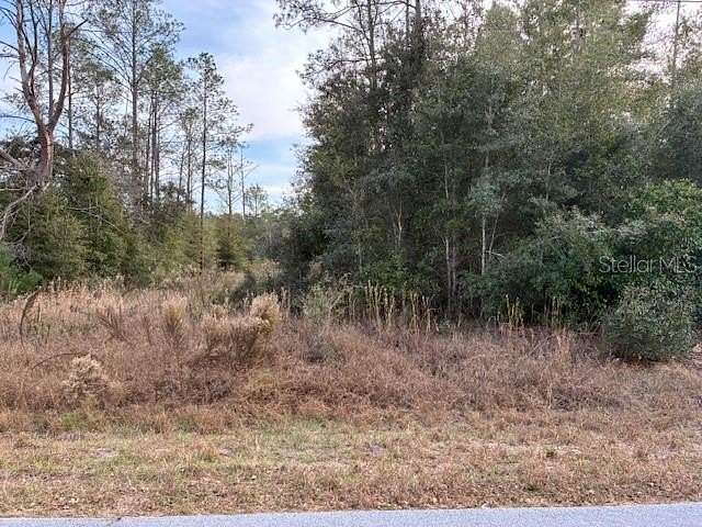 0.99 Acres of Residential Land for Sale in Dunnellon, Florida