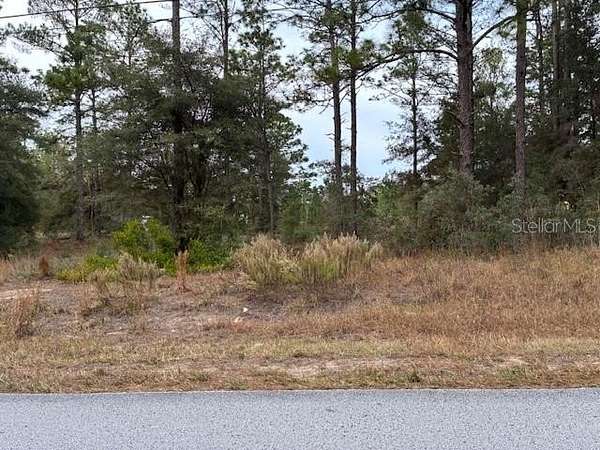 0.99 Acres of Residential Land for Sale in Dunnellon, Florida