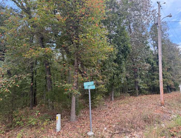 0.44 Acres of Residential Land for Sale in Williford, Arkansas
