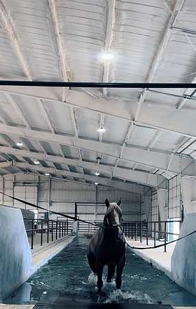 80 Acres of Improved Agricultural Land for Sale in Stephenville, Texas