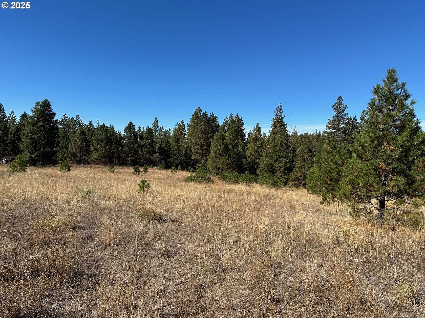 5 Acres of Land for Sale in Goldendale, Washington