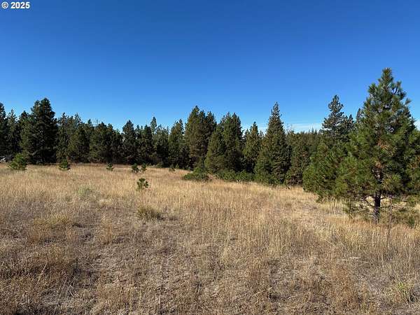 5 Acres of Land for Sale in Goldendale, Washington